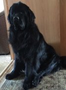 Превью фото № 205792