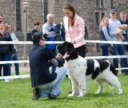 Превью фото № 205814