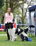 Превью фото № 205815