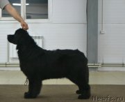 Превью фото № 205824