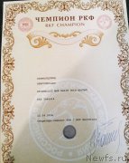 Превью фото № 205872