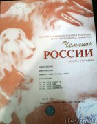 Превью фото № 205873