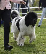 Превью фото № 205900