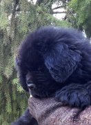 Превью фото № 205909