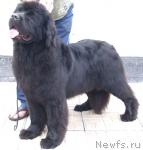 Превью фото № 20591