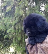 Превью фото № 205910