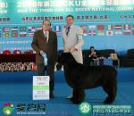 Превью фото № 20601