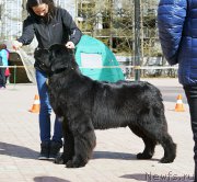 Превью фото № 206029