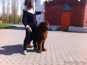 Превью фото № 206034