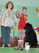 Превью фото № 206066