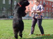 Превью фото № 206183