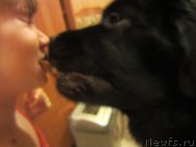 Превью фото № 206219