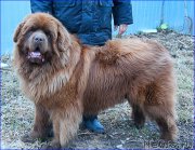 Превью фото № 206283