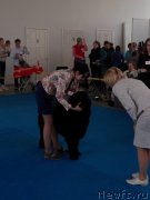 Превью фото № 206329