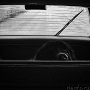 Превью фото № 206332