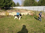 Превью фото № 206351