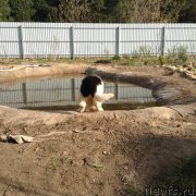 Превью фото № 206352