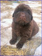 Превью фото № 206353