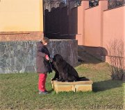 Превью фото № 206358