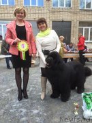 Превью фото № 206392