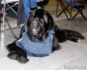 Превью фото № 206424