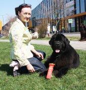 Превью фото № 206436