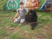 Превью фото № 206466