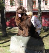 Превью фото № 206473