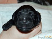 Превью фото № 206565