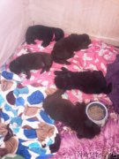 Превью фото № 206579