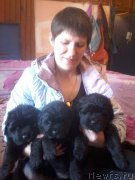 Превью фото № 206580