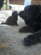 Превью фото № 206581