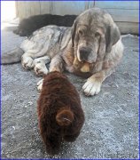 Превью фото № 206586