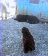 Превью фото № 206587