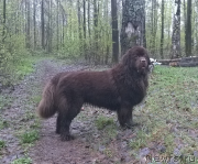 Превью фото № 206588