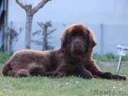 Превью фото № 206604