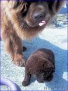 Превью фото № 206617