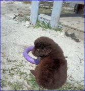 Превью фото № 206618