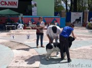 Превью фото № 206695