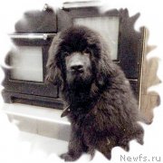 Превью фото № 206696