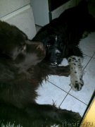 Превью фото № 206721