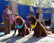 Превью фото № 206725