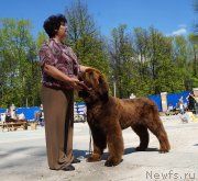 Превью фото № 206731