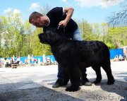 Превью фото № 206733