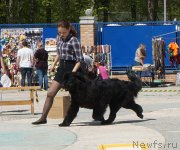 Превью фото № 206737