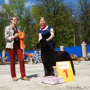 Превью фото № 206743