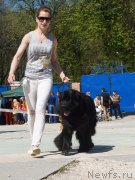 Превью фото № 206805