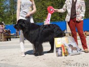 Превью фото № 206806