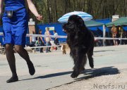 Превью фото № 206807