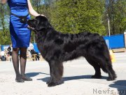 Превью фото № 206808